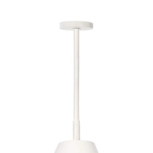 Regina Andrew Bluff Outdoor Pendant (White)