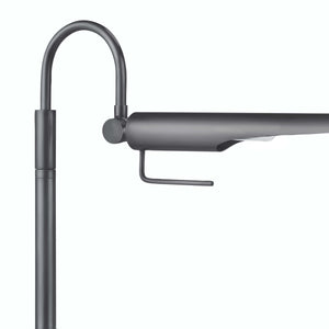 Regina Andrew Raven Task Lamp (Oil Rubbed Bronze)