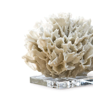 Regina Andrew Ribbon Coral (White)